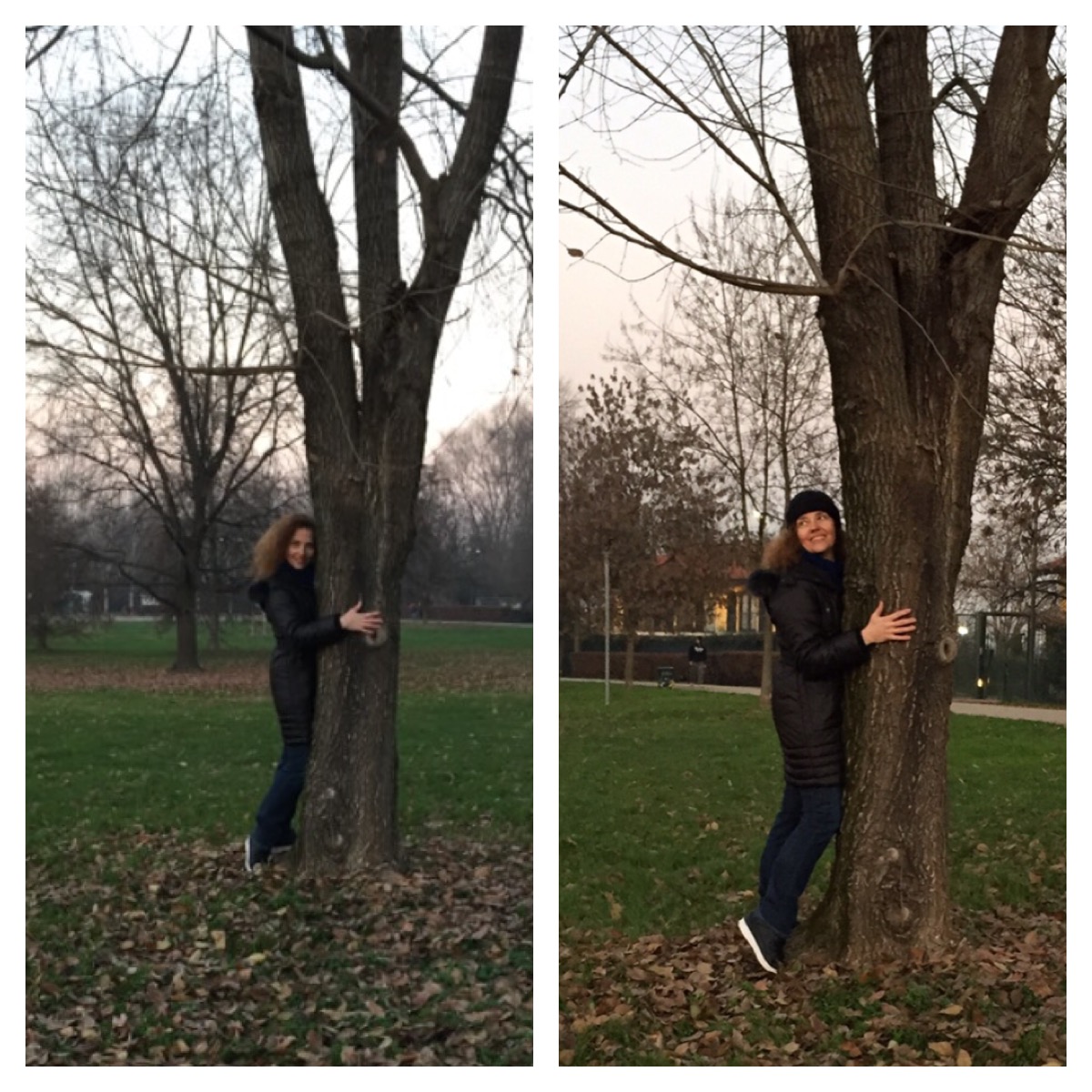 albero best 1